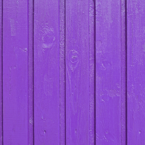 Purple fence paint example