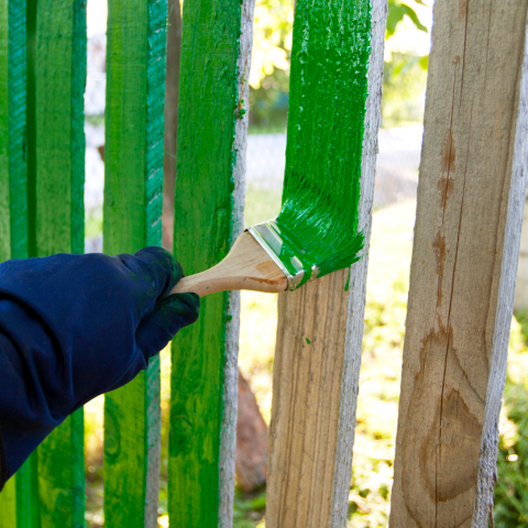 Green fence paint in garden example